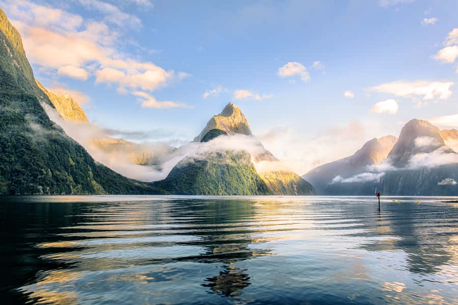 From Queenstown: Milford Sound Premium Day Tour and Cruise - Key points to know before booking
