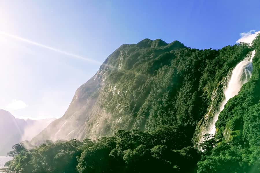 From Queenstown: Milford Sound Premium Day Tour and Cruise - Waterfalls, wildlife, and the open sea