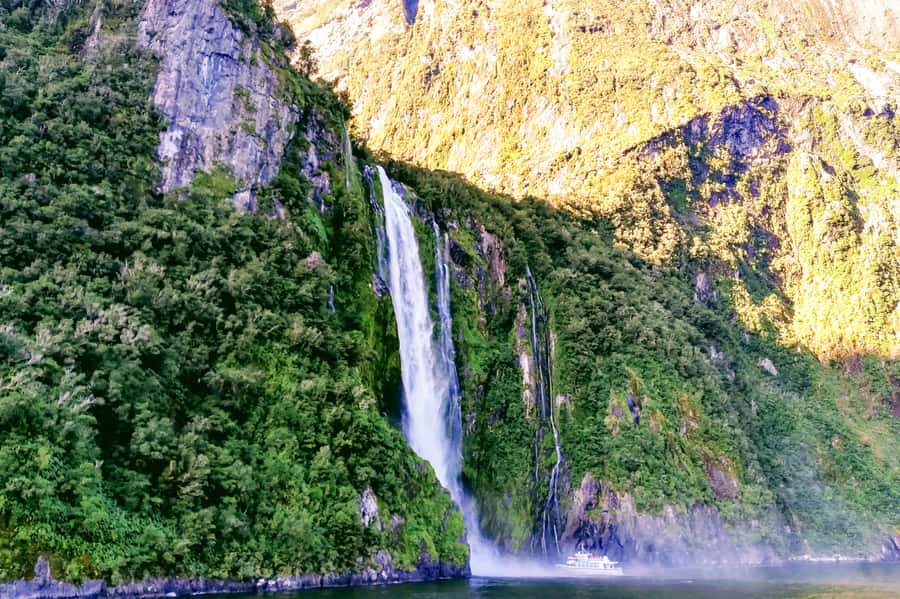 From Queenstown: Milford Sound Premium Day Tour and Cruise - Practical ways to make the day better