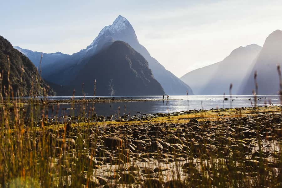 From Queenstown: Milford Sound Scenic Flight & Nature Tour - Lunch with Mitre Peak in view