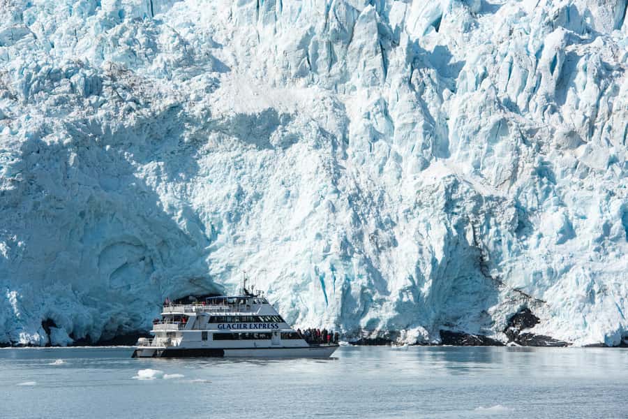 From Seward: Kenai Fjords National Park Cruise with Lunch - Why this Seward cruise covers so much ground