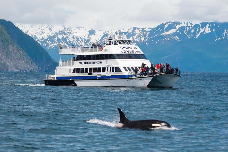 From Seward: Kenai Fjords National Park Cruise with Lunch - Bear Glacier and the run toward open water