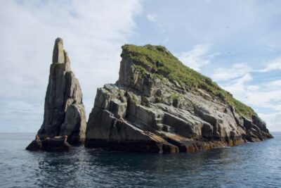 From Seward: Kenai Fjords National Park Cruise with Lunch