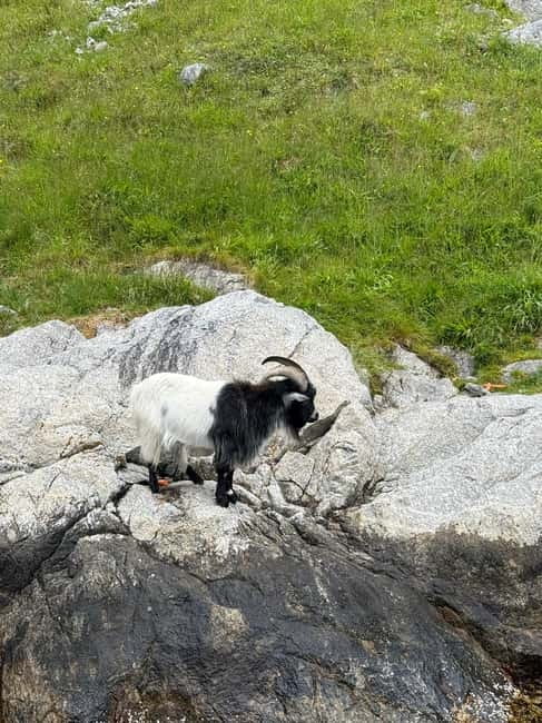 From Stavanger: Lysefjorden & Pulpit Rock Safari by RIB - Thirty minutes of speed from Stavanger