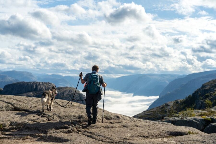 From Stavanger: Pulpit Rock Guided Hike with Pickup - What the 2.5-hour climb feels like