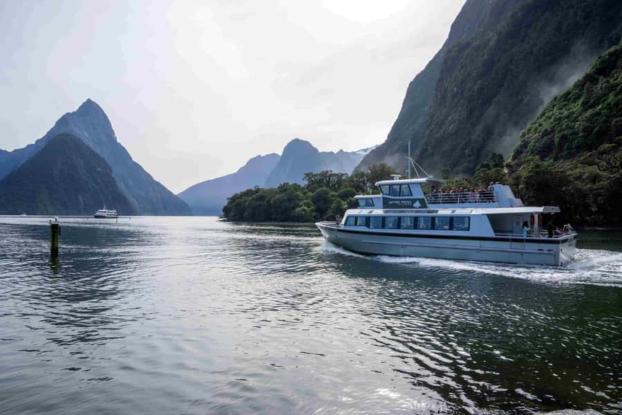From Te Anau: Milford Sound Coach, Cruise, and Walks - Should you book the Trips and Tramps Milford Sound tour?