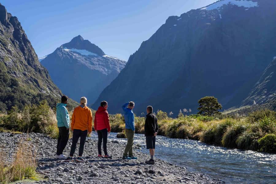 From Te Anau: Milford Sound Coach, Cruise, and Walks - Why starting in Te Anau makes sense