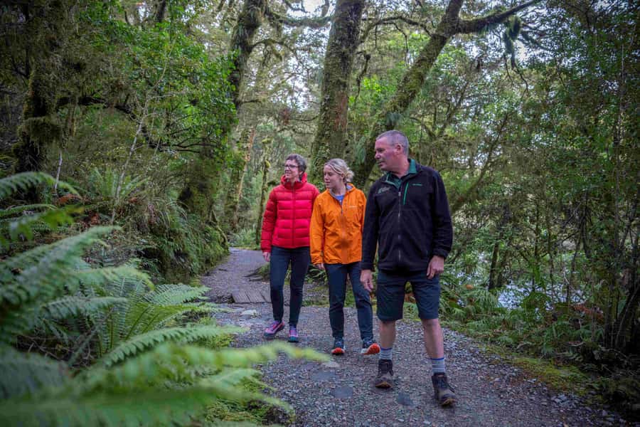From Te Anau: Milford Sound Coach, Cruise, and Walks - Lunch is simple, useful, and well timed