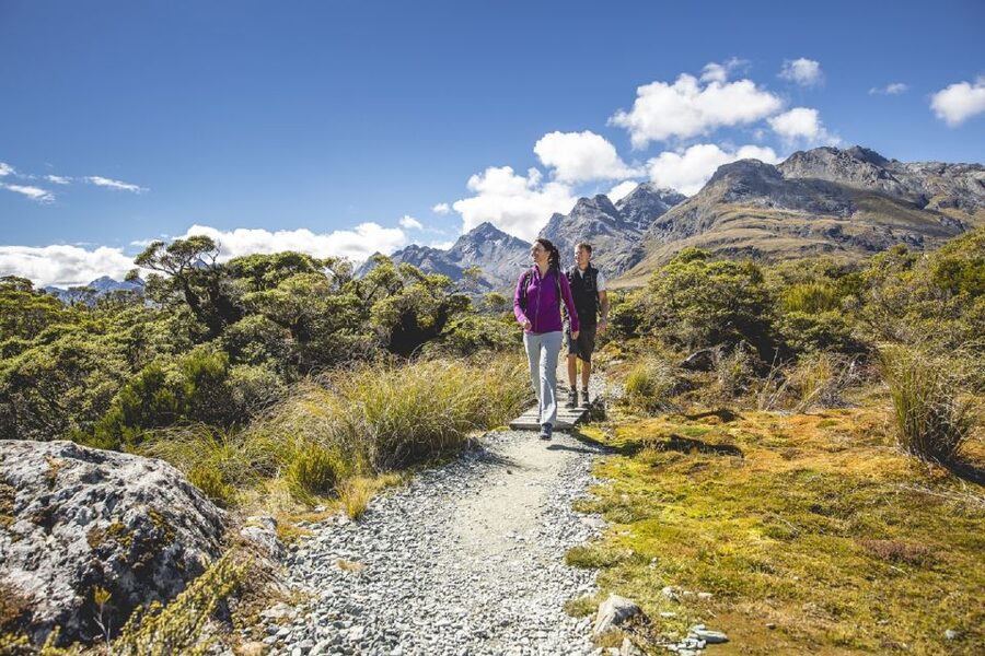 From Te Anau: Milford Sound Coach, Cruise, and Walks - Guides are a major part of the value