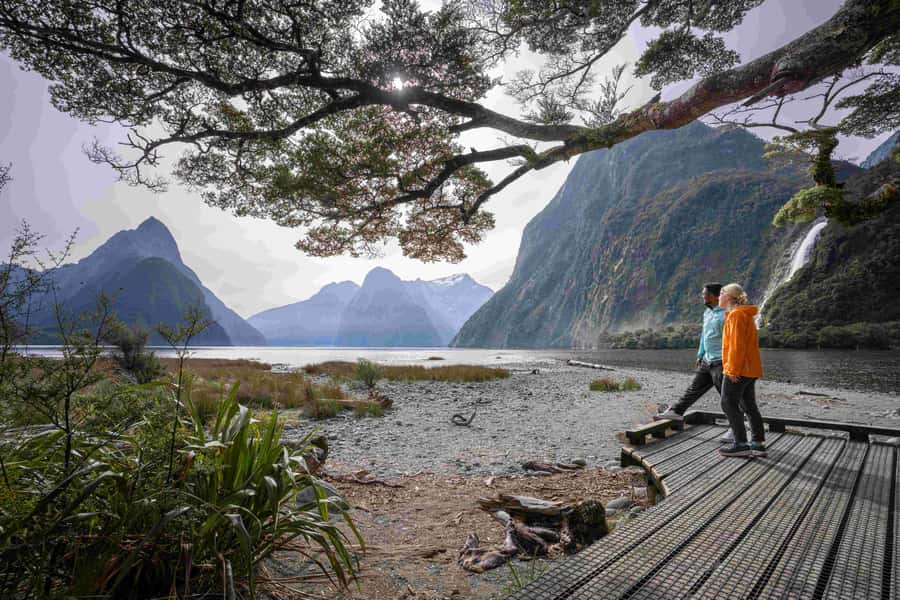 From Te Anau: Milford Sound Coach, Cruise, and Walks - Who should book this day trip