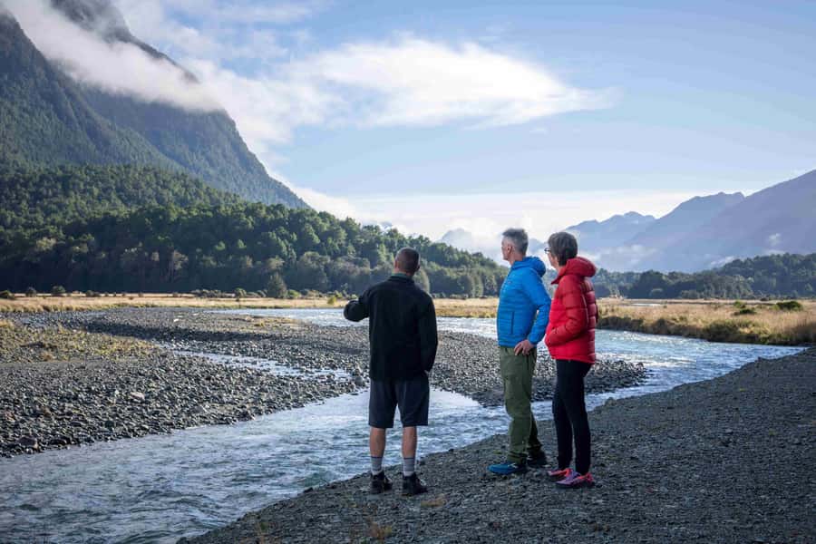 From Te Anau: Milford Sound Coach, Cruise, and Walks - The Milford Road is half the experience
