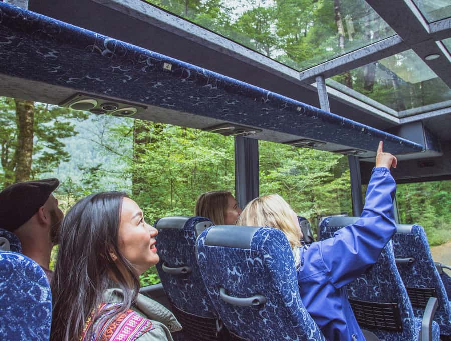 From Te Anau: Milford Sound Coach Tour and Cruise - Photo stops and short walks in Fiordland