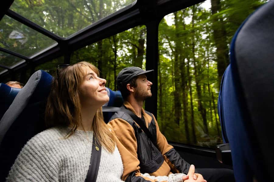 From Te Anau: Milford Sound Cruise and Coach Day Trip - What the two-hour Milford Sound cruise is like