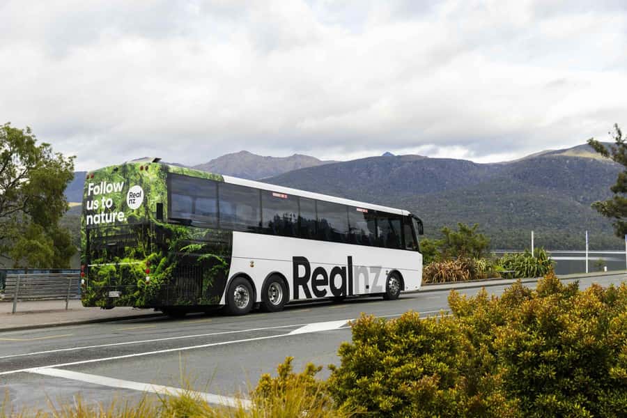 From Te Anau: Milford Sound Cruise and Coach Day Trip - Food, drinks, and what to pack