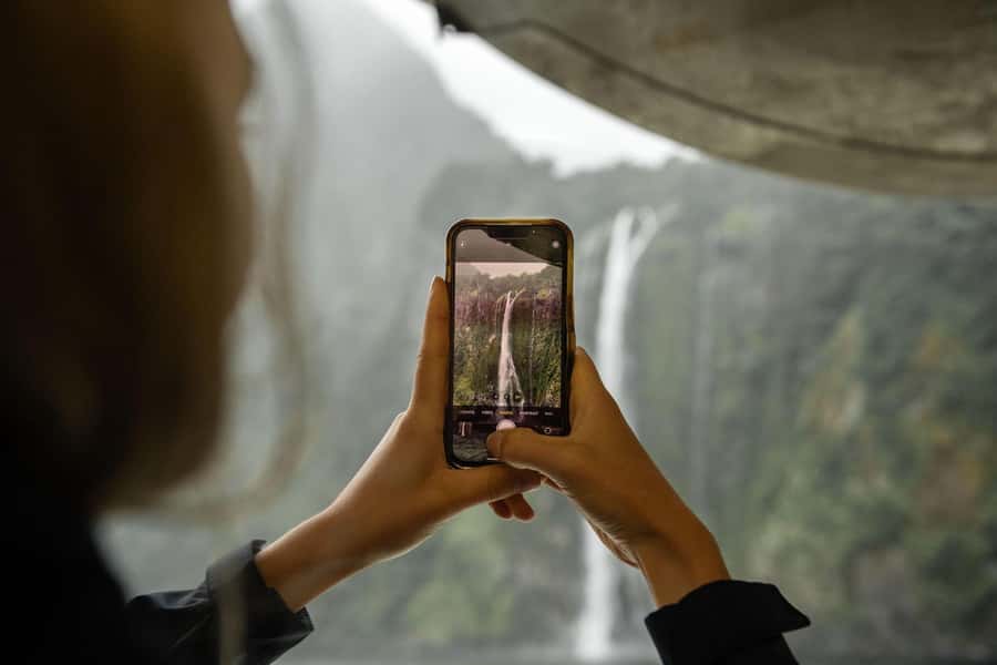 From Te Anau: Milford Sound Cruise and Coach Day Trip - Why the guide can make or break the day