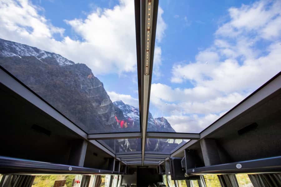 From Te Anau: Milford Sound Cruise & Glass-Roof Coach Tour - Key points to know before you book