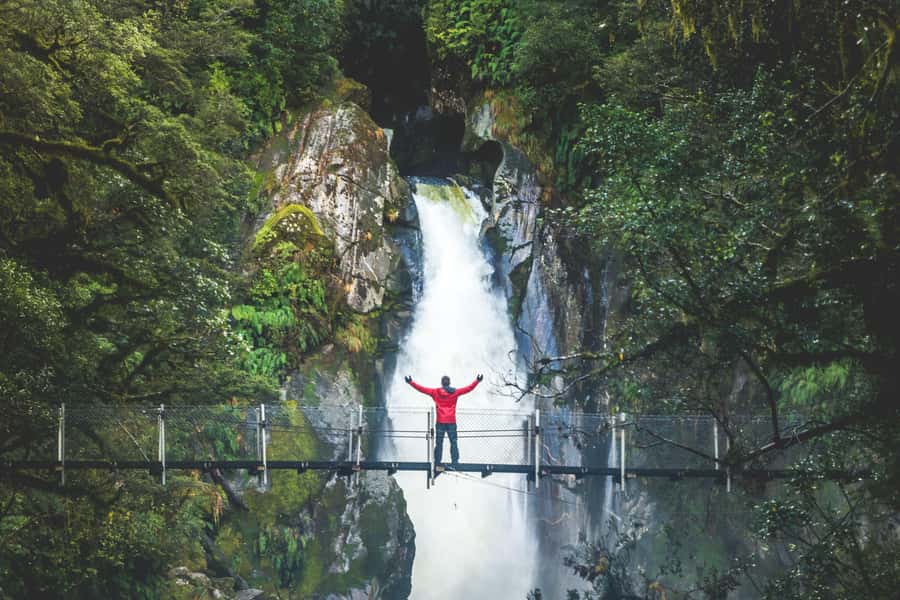 From Te Anau: Milford Sound Cruise & Track Walk by Coach - The long road from Te Anau to Milford Sound
