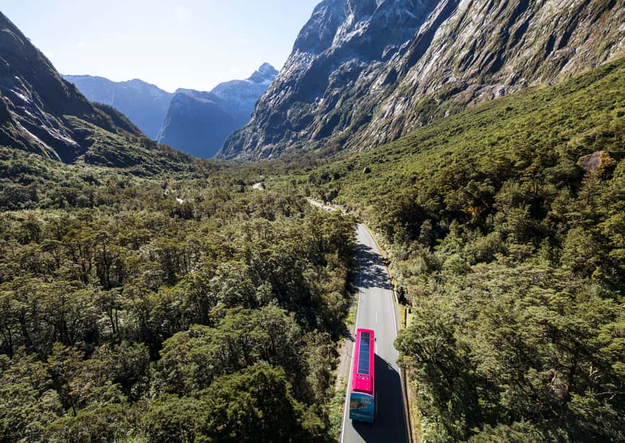 From Te Anau: Milford Sound Premium Bus Tour and Cruise - Wildlife is possible, but the waterfalls are dependable