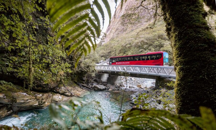 From Te Anau: Milford Sound Premium Bus Tour and Cruise - Lunch, drinks, and what is worth adding