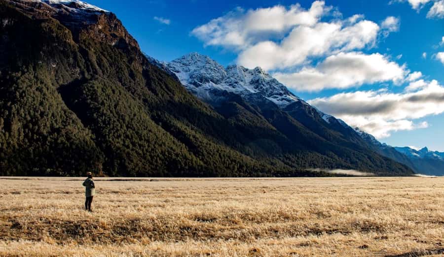 From Te Anau: Milford Sound Small-Group Tour Including Lunch - The road back adds value, but it is still a long day