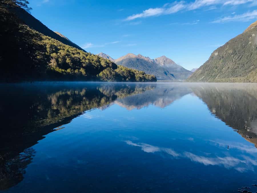 From Te Anau: Milford Sound Small-Group Tour Including Lunch - Lunch keeps the full day manageable