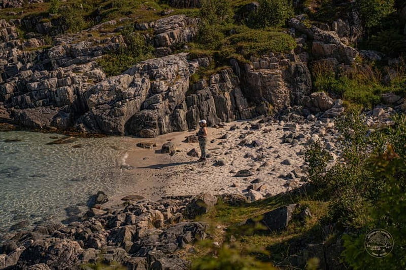 From Tromsø: Arctic Roadtrip: fjords tour with scenic picnic - Key points to know before booking