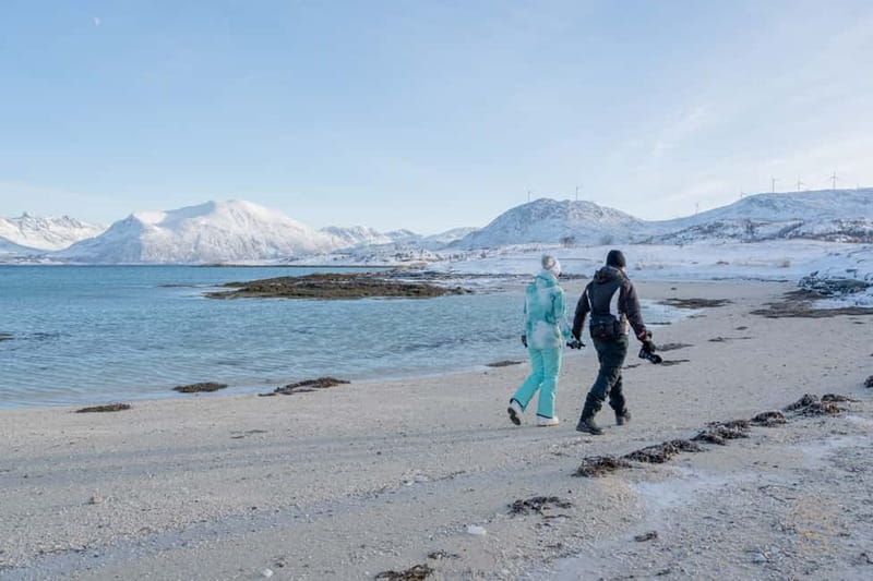 From Tromsø: Arctic Roadtrip: fjords tour with scenic picnic - Sommarøy beach and the picnic stop