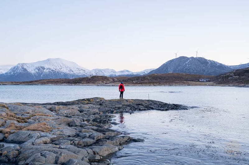 From Tromsø: Arctic Roadtrip: fjords tour with scenic picnic - How active is the day?