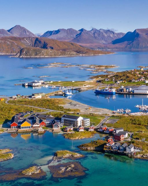 From Tromsø: Arctic Wildlife & Fjord Sightseeing Tour by Car - Ersfjordbotn and Kattfjorden