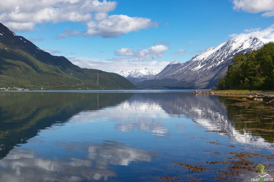 From Tromso: Norwegian Fjords Half-Day Tour - Leaving Tromsø for Kvaløya
