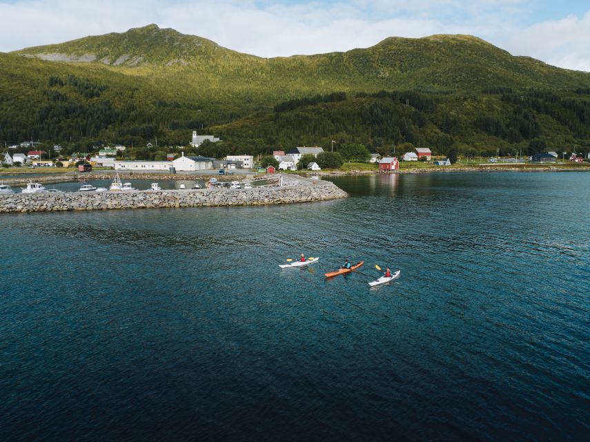 From Tromsø: Self-Guided Fjord Tour to Senja and Local Lunch - Who should book this Senja trip?