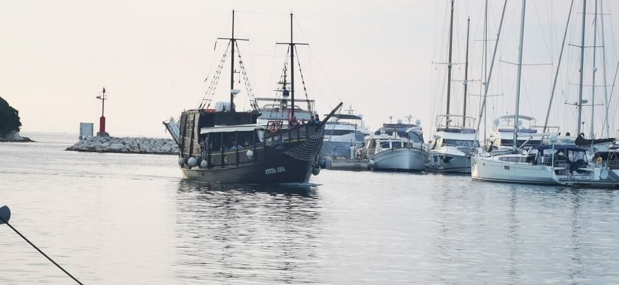 From Vrsar: Boat Trip to Rovinj and Lim Fjord - Is the Vrsar to Rovinj and Lim Fjord cruise worth booking?