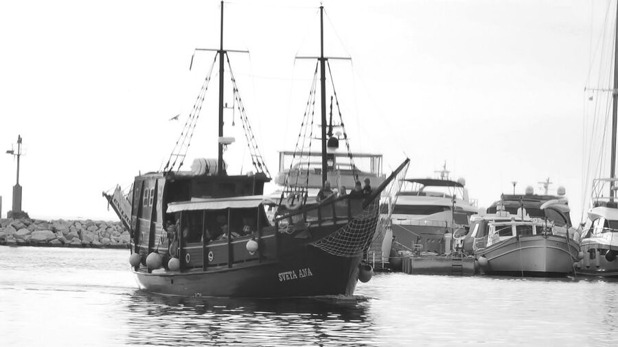 From Vrsar: Boat Trip to Rovinj and Lim Fjord - Practical planning for a smoother day