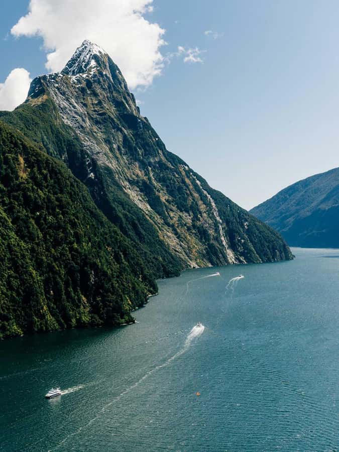 From Wanaka: Milford Sound Flight with Landing & Glaciers - Key points at a glance