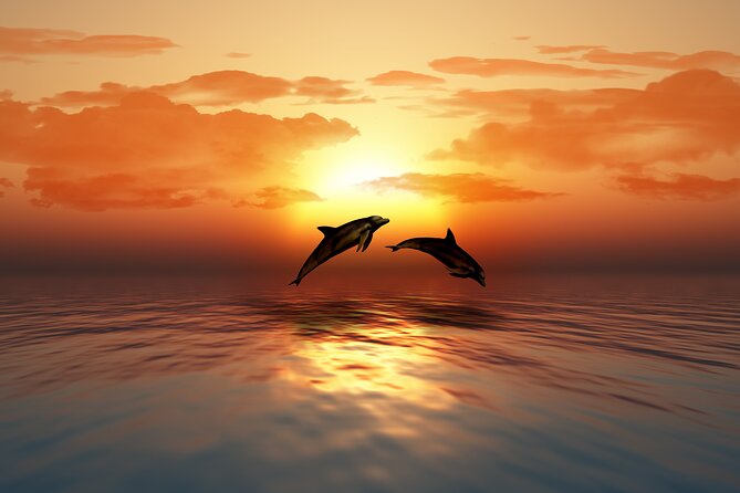 Full day Dhow: Khasab, Musandam: Dolphins, Snorkeling & Fjords - Seebi Island and time on the beach