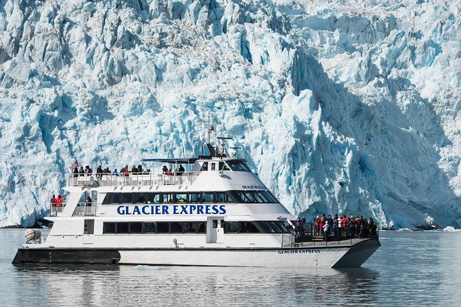 Full-Day Kenai Fjords National Park Cruise - A long day built around glaciers and wildlife