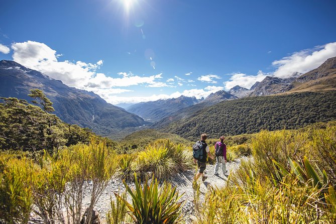 Full-Day Milford Sound Tour with Cruise and Walks from Te Anau - Short walks that add real value