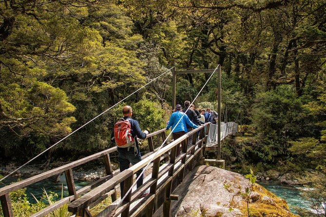 Full-Day Milford Sound Tour with Cruise and Walks from Te Anau - What the price delivers at $192.78