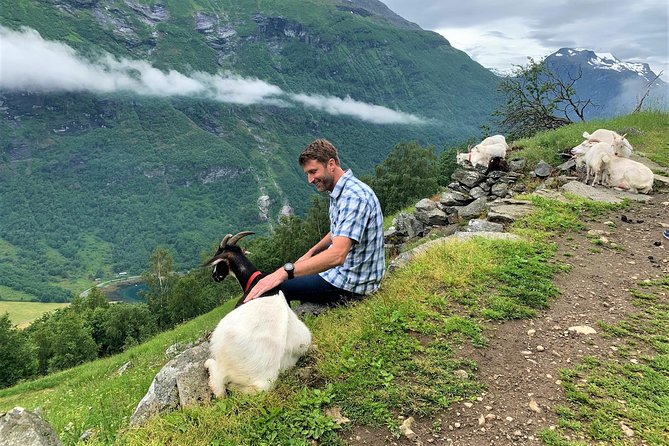 Geiranger by Royal route, 5 hours with visiting a high-mountain farm - Ørnesvingen and the Seven Sisters