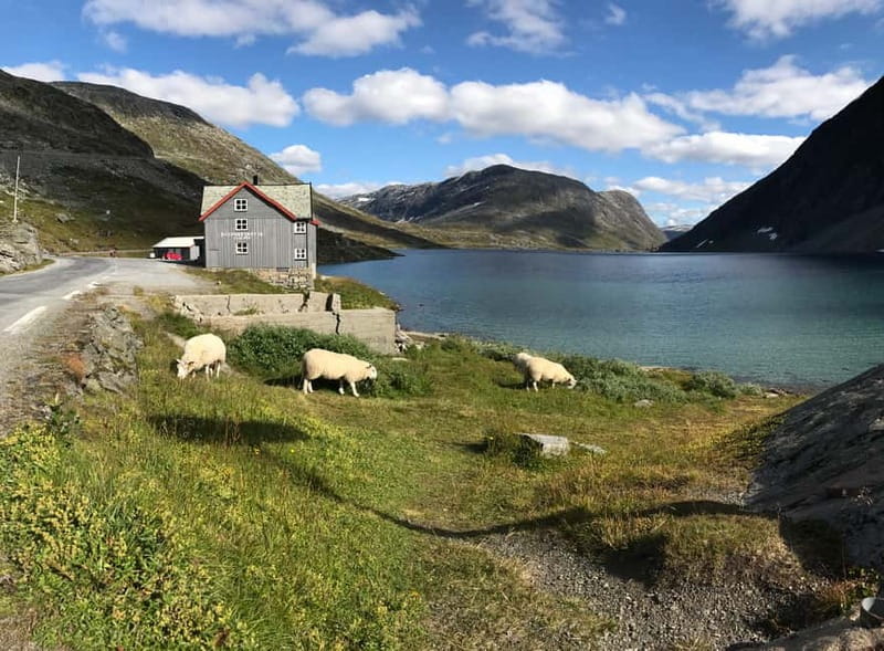Geiranger Fjord: Downhill Self-Guided Bike Tour - Flydalsjuvet, the essential viewpoint
