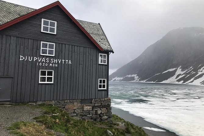 Geiranger Shore Excursion: Mt. Dalsnibba and Eagle Road - The guide and the coach experience