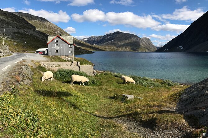 Geiranger: Sky to Fjord Downhill Biking Adventure - Is $160.09 a fair price?