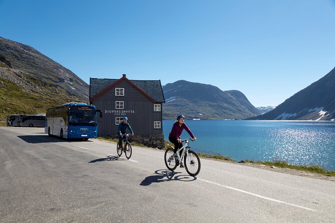 Geiranger: Sky to Fjord Downhill Biking Adventure - The 16-kilometer ride toward Geiranger