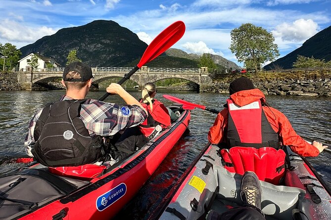 Guided Adventure on Fjord Kayaking in Hellesylt, Norway - Who will enjoy this Hellesylt kayaking trip?