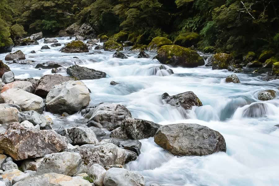 Guided Private Milford Sound Day Tour from Te Anau(Cruise In - Key points at a glance