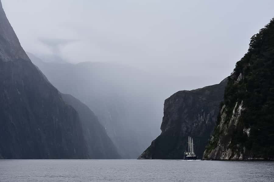 Guided Private Milford Sound Day Tour from Te Anau(Cruise In - Reaching Milford Sound and boarding the cruise