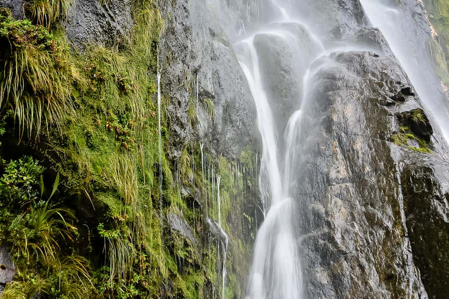 Guided Private Milford Sound Day Tour from Te Anau(Cruise In - A guide-led day instead of a self-drive day