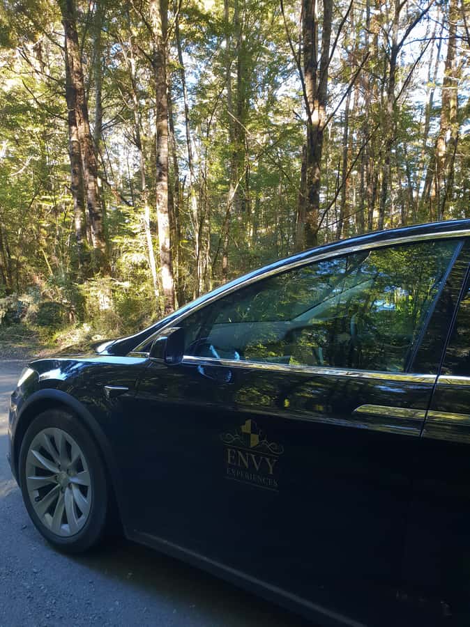 Guided Private Milford Sound Day Tour from Te Anau(Cruise In - Comfort, accessibility, and practical details