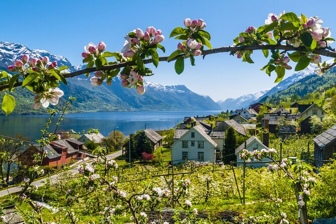 Guided tour - Hardangerfjord, Voss Gondola & 3 Great Waterfalls - Starting at Strandkaien in Bergen