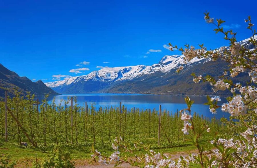 Guided tour: Hardangerfjord, Waterfalls and Ferry crossing - Why this Hardangerfjord route works